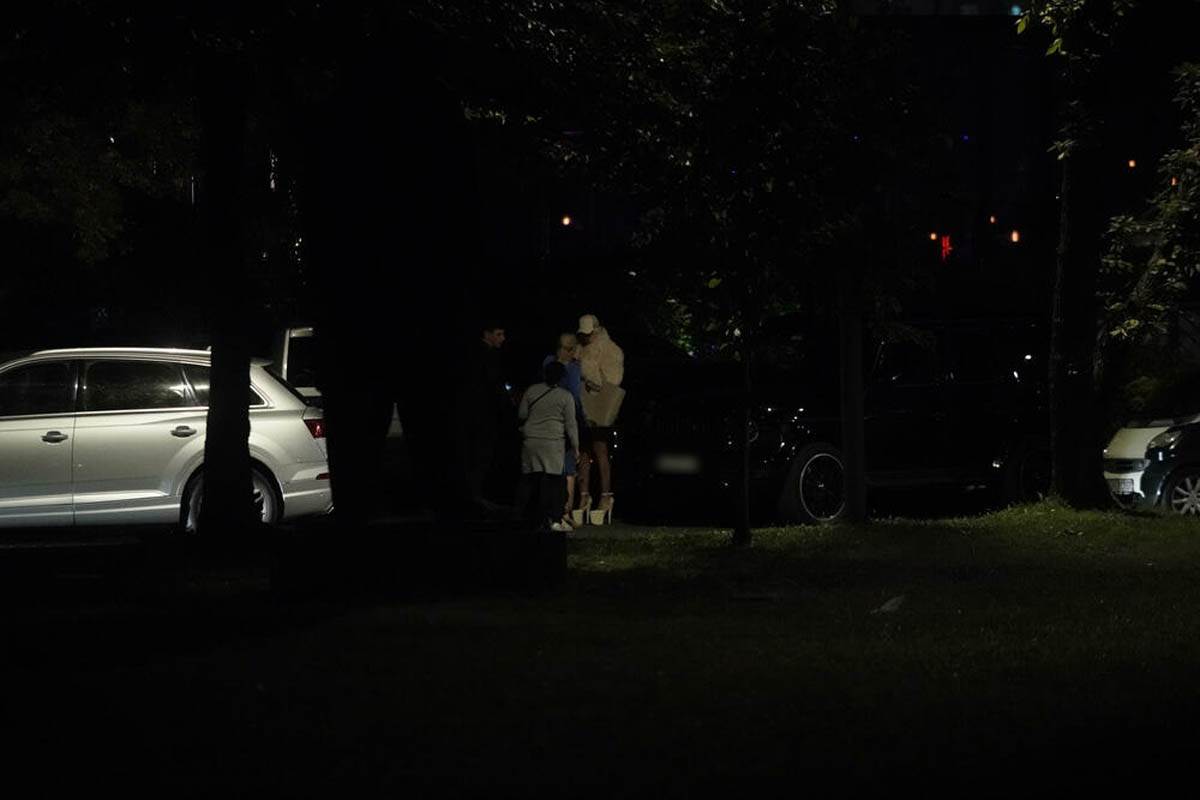 Jelenu Karleušu zaustavila policija