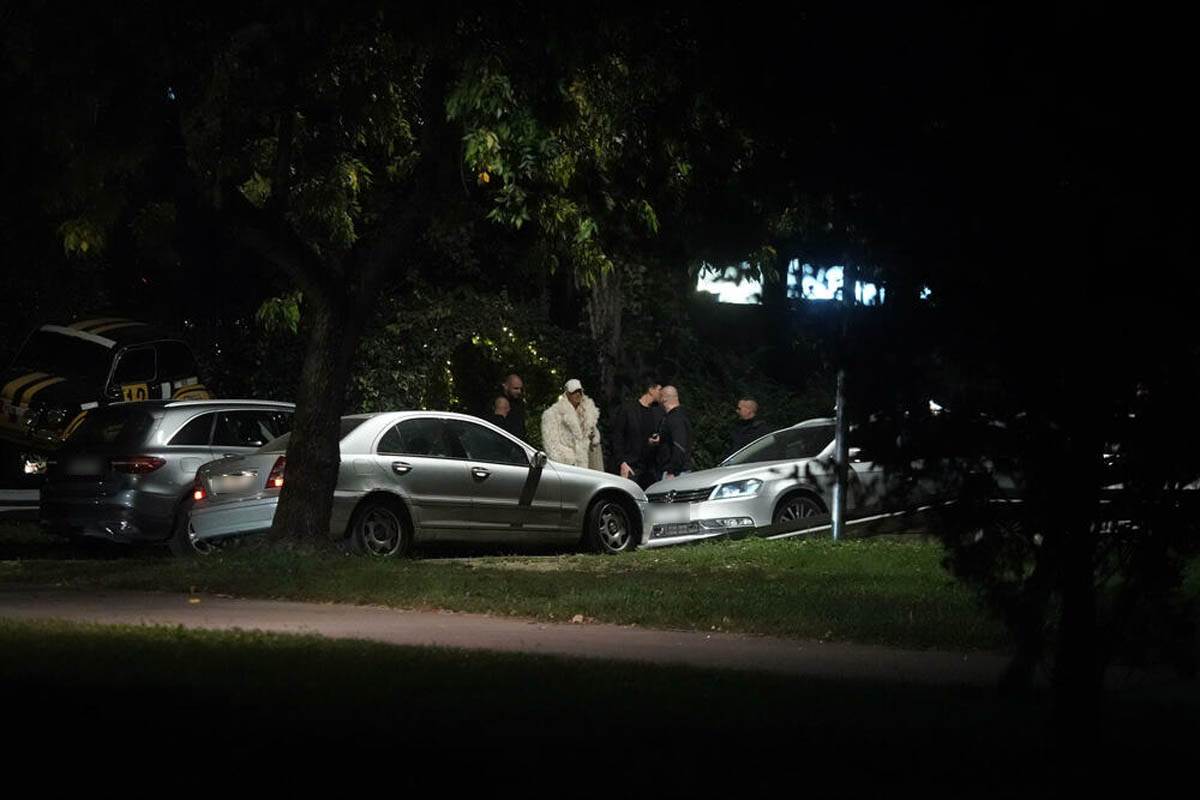 Jelenu Karleušu zaustavila policija