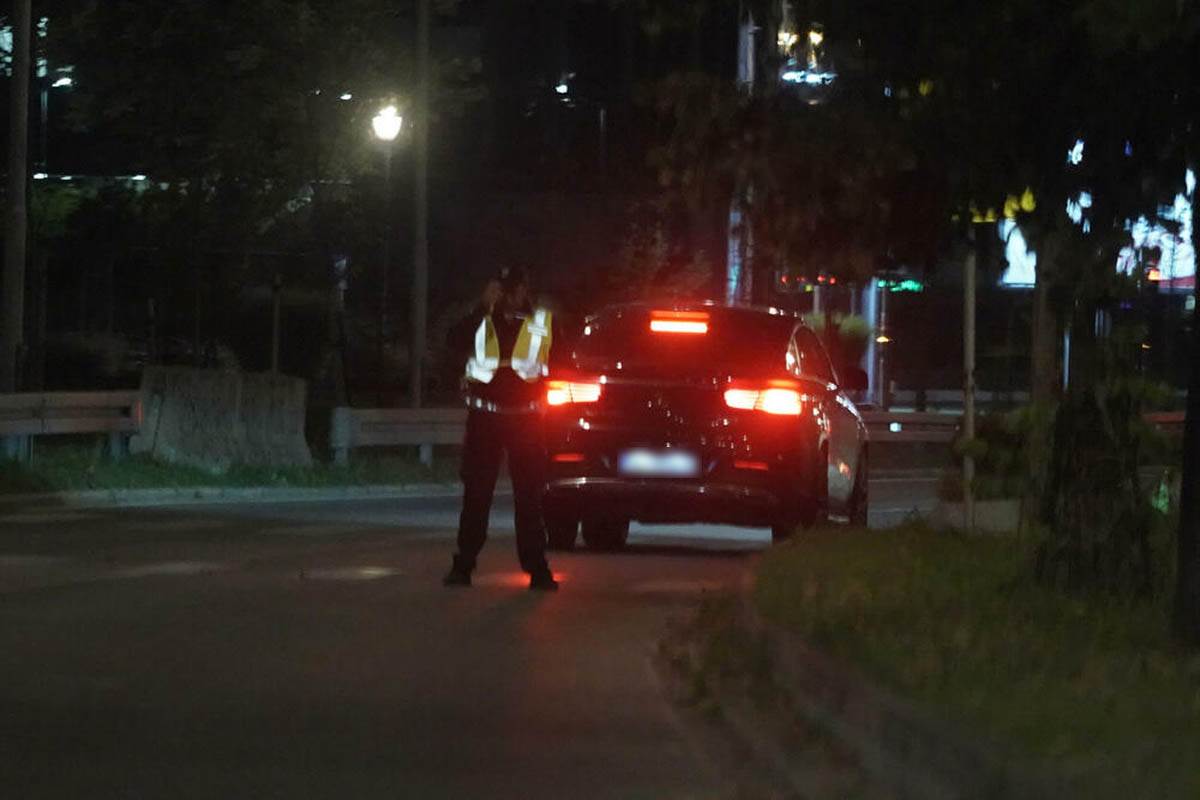 Jelenu Karleušu zaustavila policija