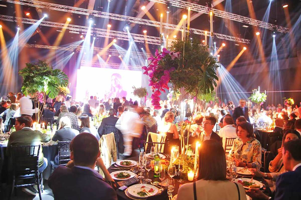 SPEKTAKL POVODOM OTVARANJA FIREFLY STUDIOS (16).jpg