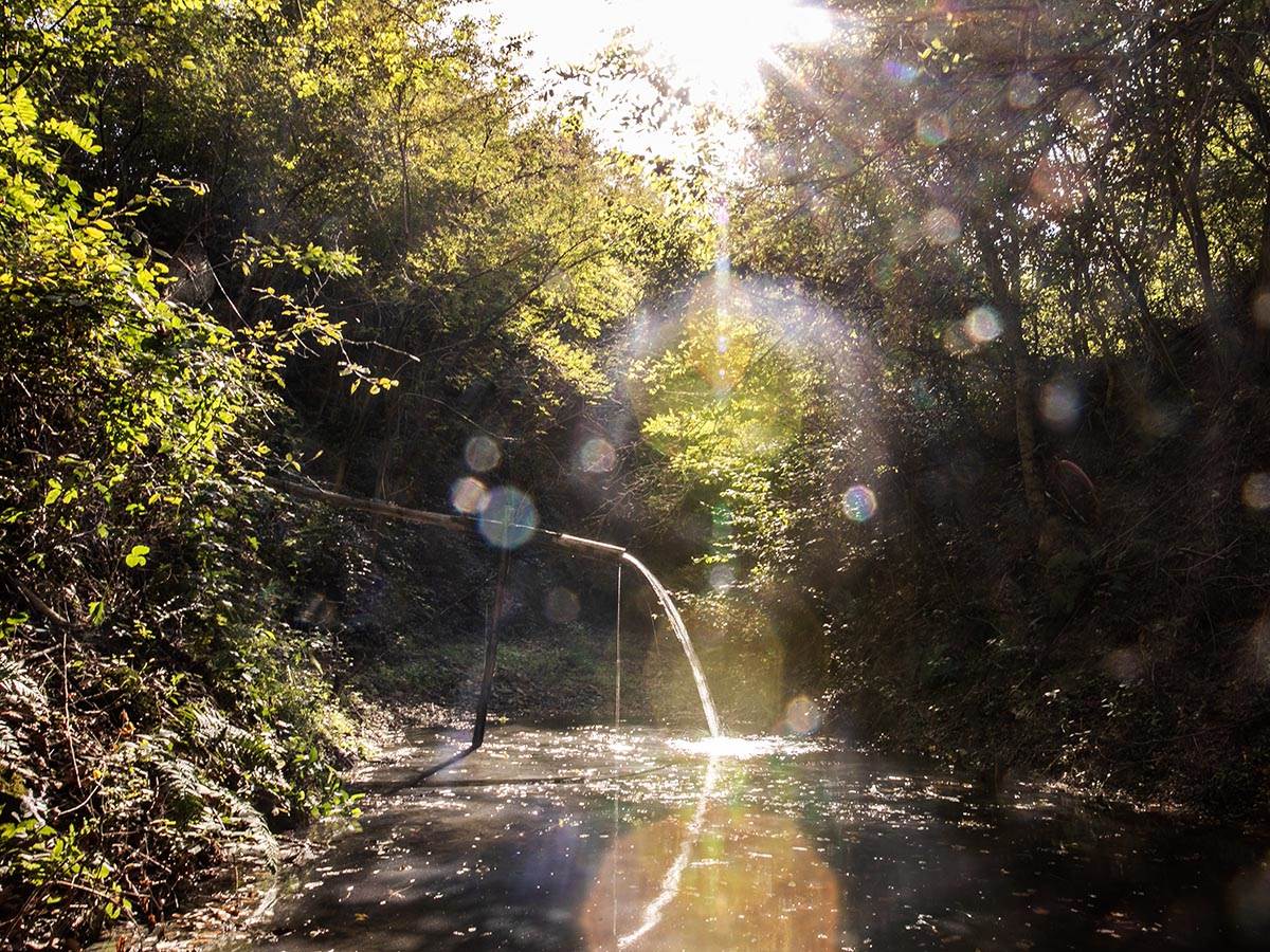 Branko Janković o životu na selu