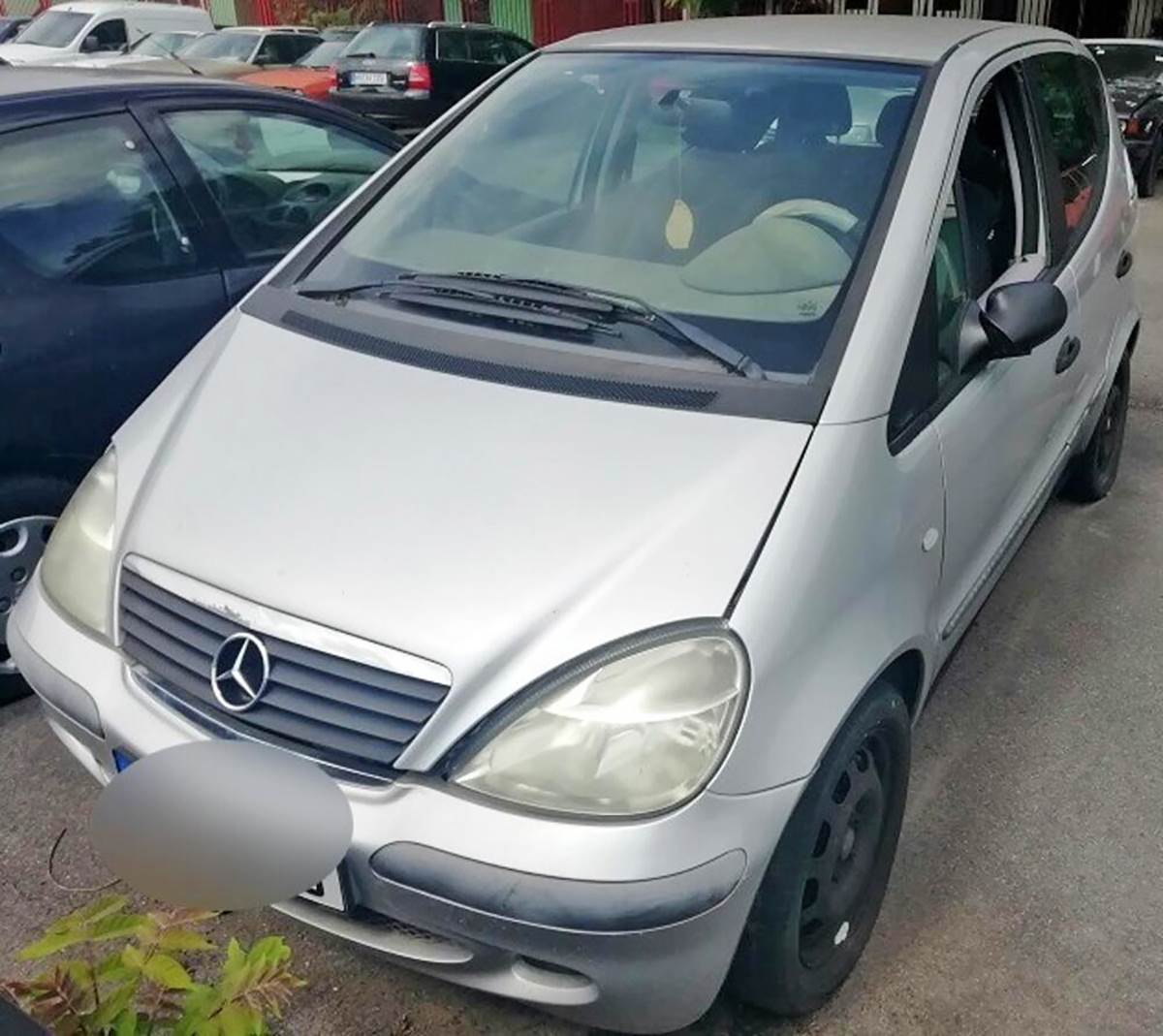 Carina Zrenjanin (1).jpg