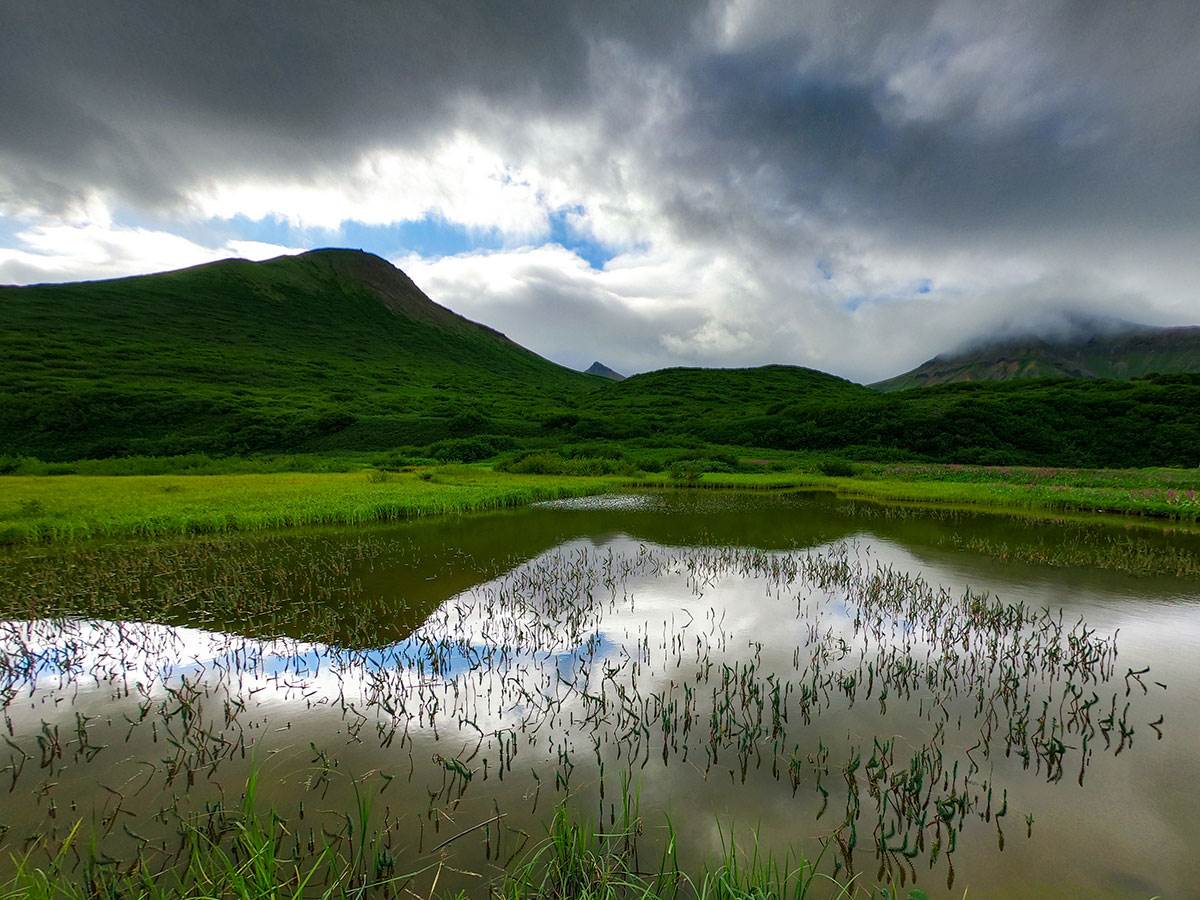 Brazil i Aljaska (11).jpg