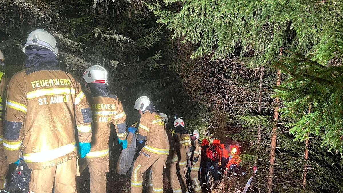 AVION IZ ZAGREBA PAO U AUSTRIJI (8).jpg
