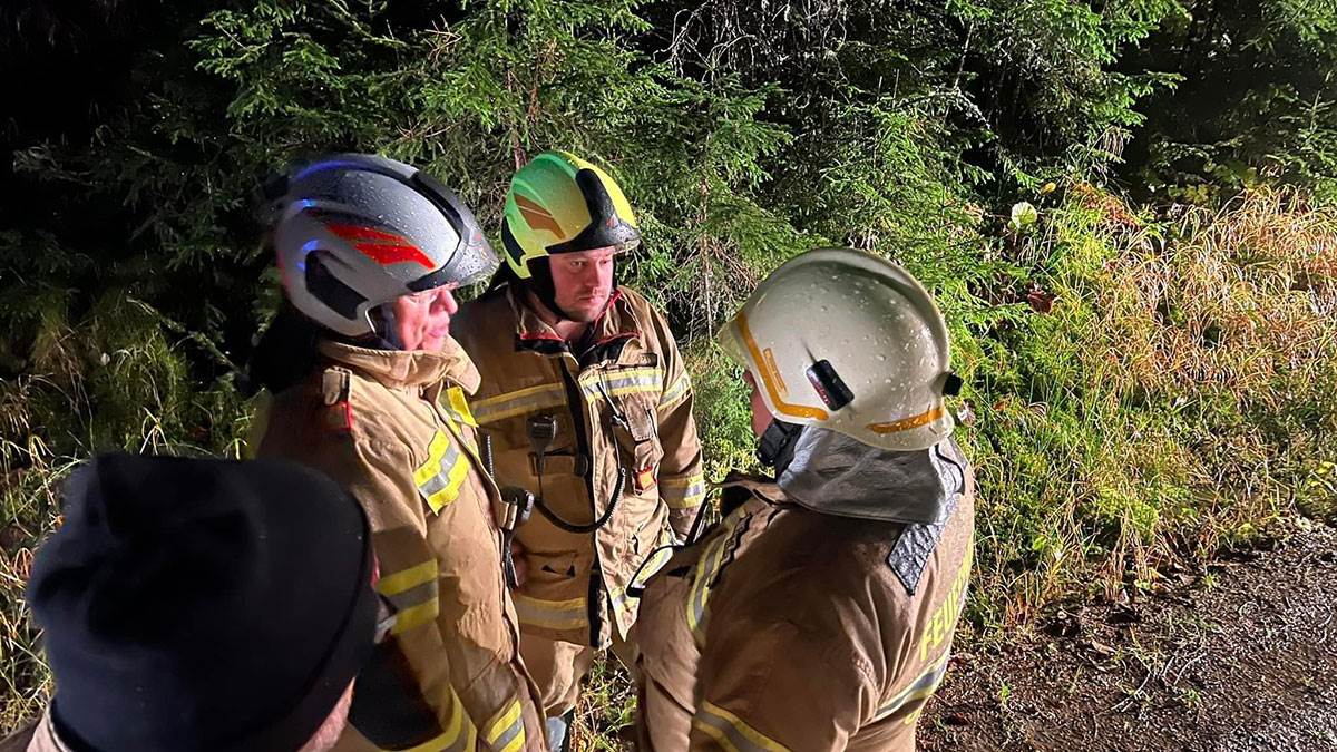 AVION IZ ZAGREBA PAO U AUSTRIJI (7).jpg