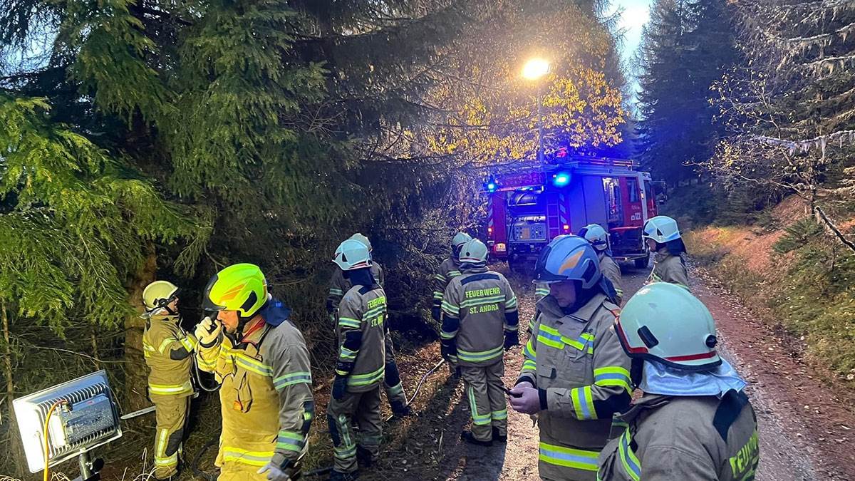 AVION IZ ZAGREBA PAO U AUSTRIJI (4).jpg
