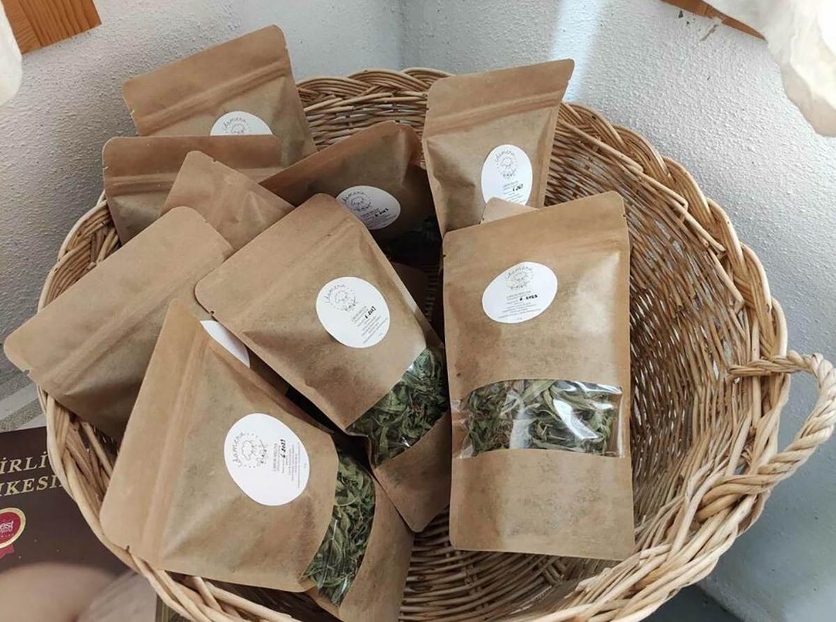 OSTAVILA ŽIVOT U BEČU DA BI RADILA POLJOPRIVREDU U TURSKOM SELU (13).jpg