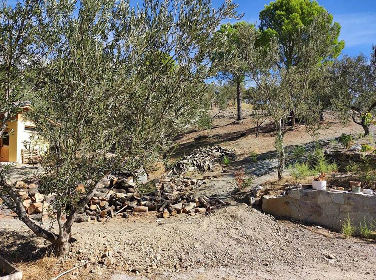 OSTAVILA ŽIVOT U BEČU DA BI RADILA POLJOPRIVREDU U TURSKOM SELU (11).jpg