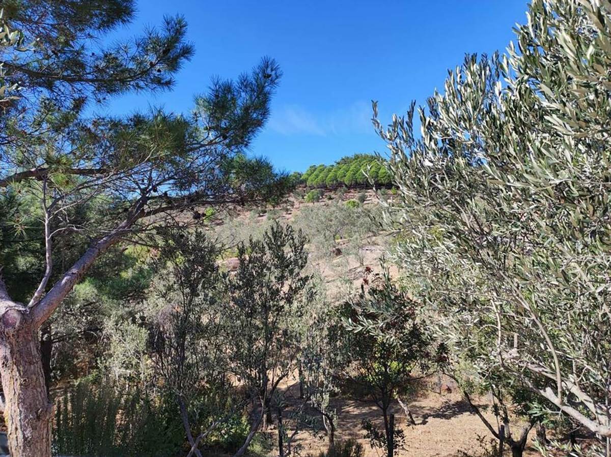 OSTAVILA ŽIVOT U BEČU DA BI RADILA POLJOPRIVREDU U TURSKOM SELU (9).jpg