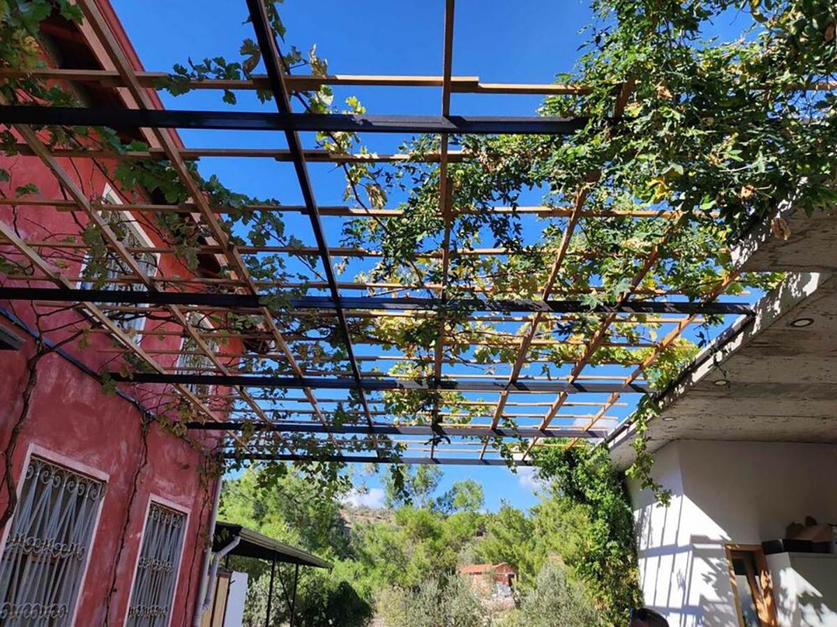 OSTAVILA ŽIVOT U BEČU DA BI RADILA POLJOPRIVREDU U TURSKOM SELU (8).jpg