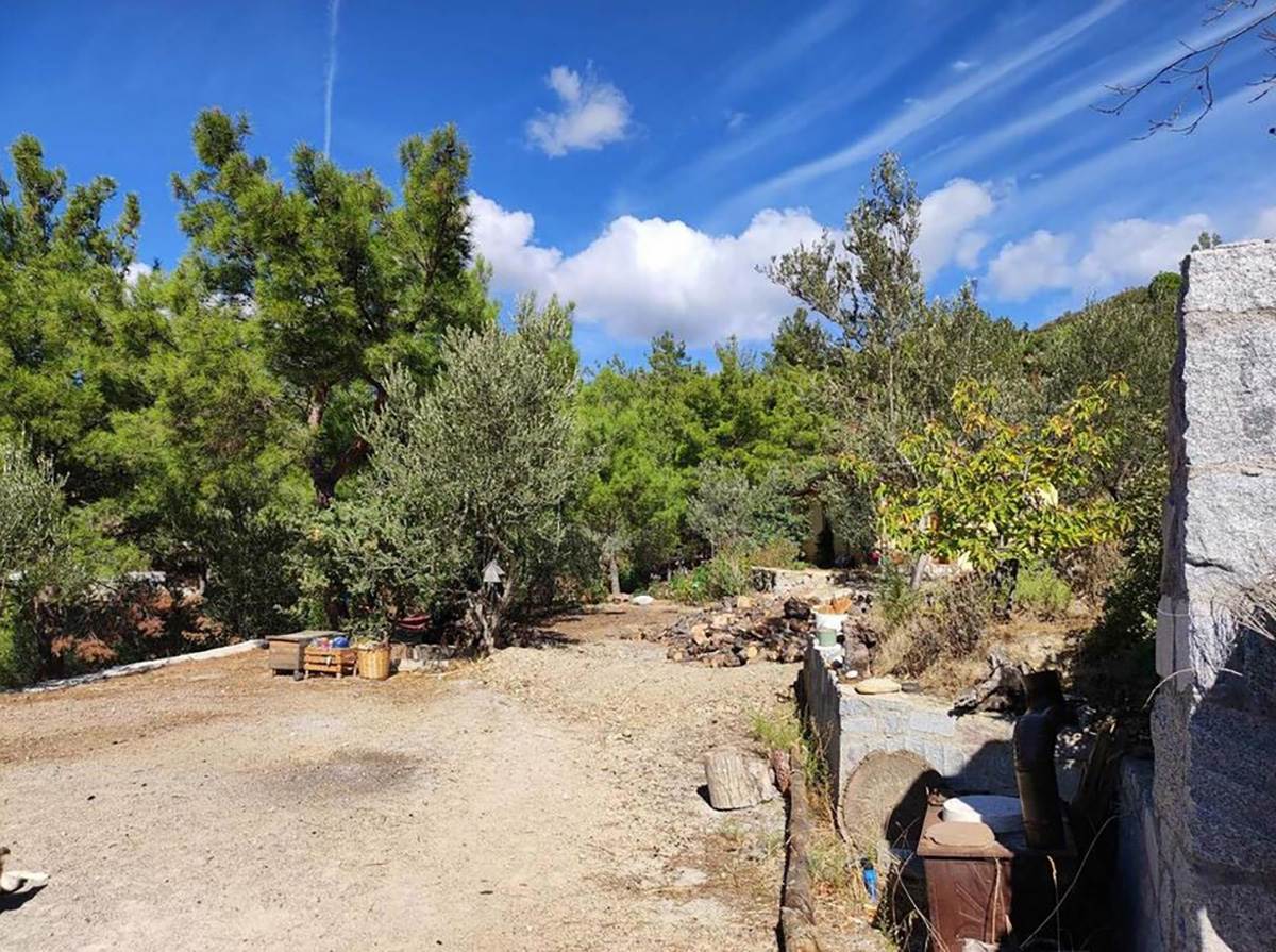 OSTAVILA ŽIVOT U BEČU DA BI RADILA POLJOPRIVREDU U TURSKOM SELU (5).jpg