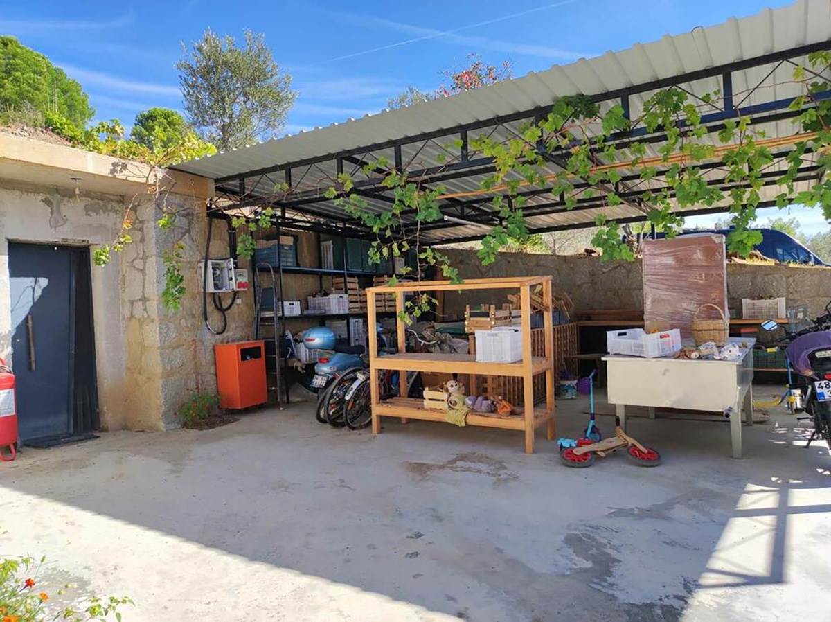 OSTAVILA ŽIVOT U BEČU DA BI RADILA POLJOPRIVREDU U TURSKOM SELU (3).jpg