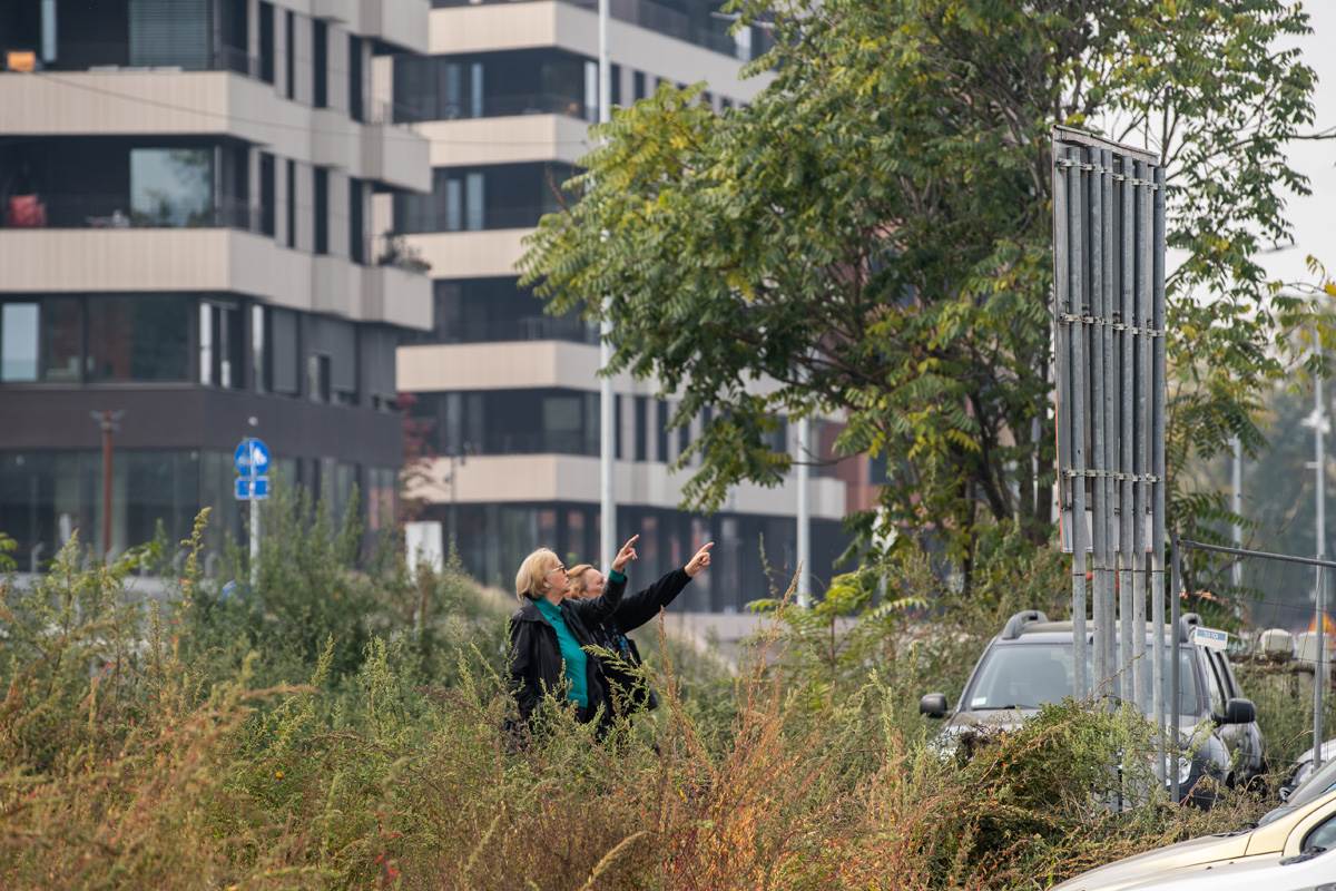 Linijski park  (4).jpg