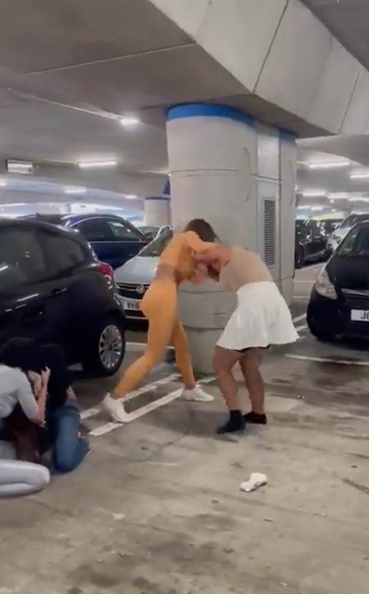 Screenshot 2023-11-08 221857.jpg