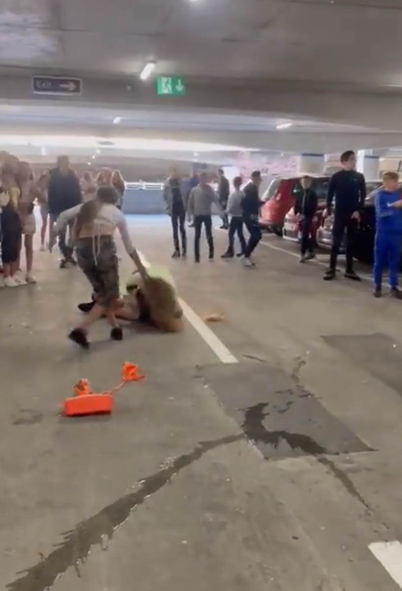 Screenshot 2023-11-08 221955.jpg