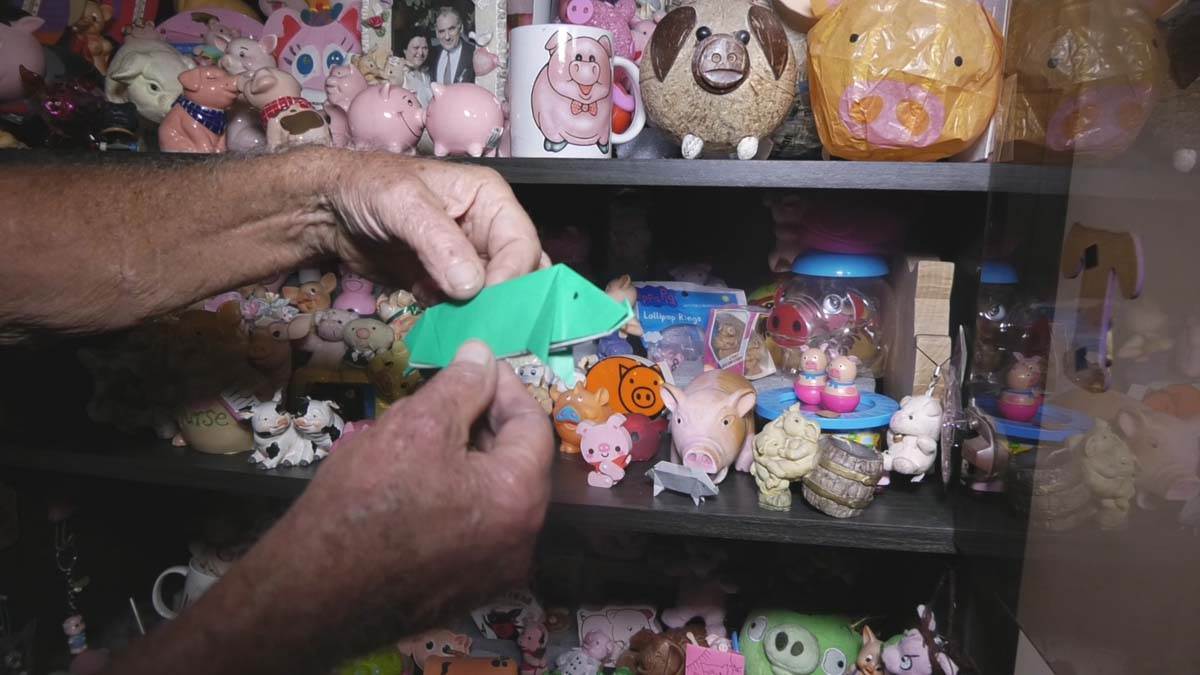 Kolekcionar prasića 6.jpg