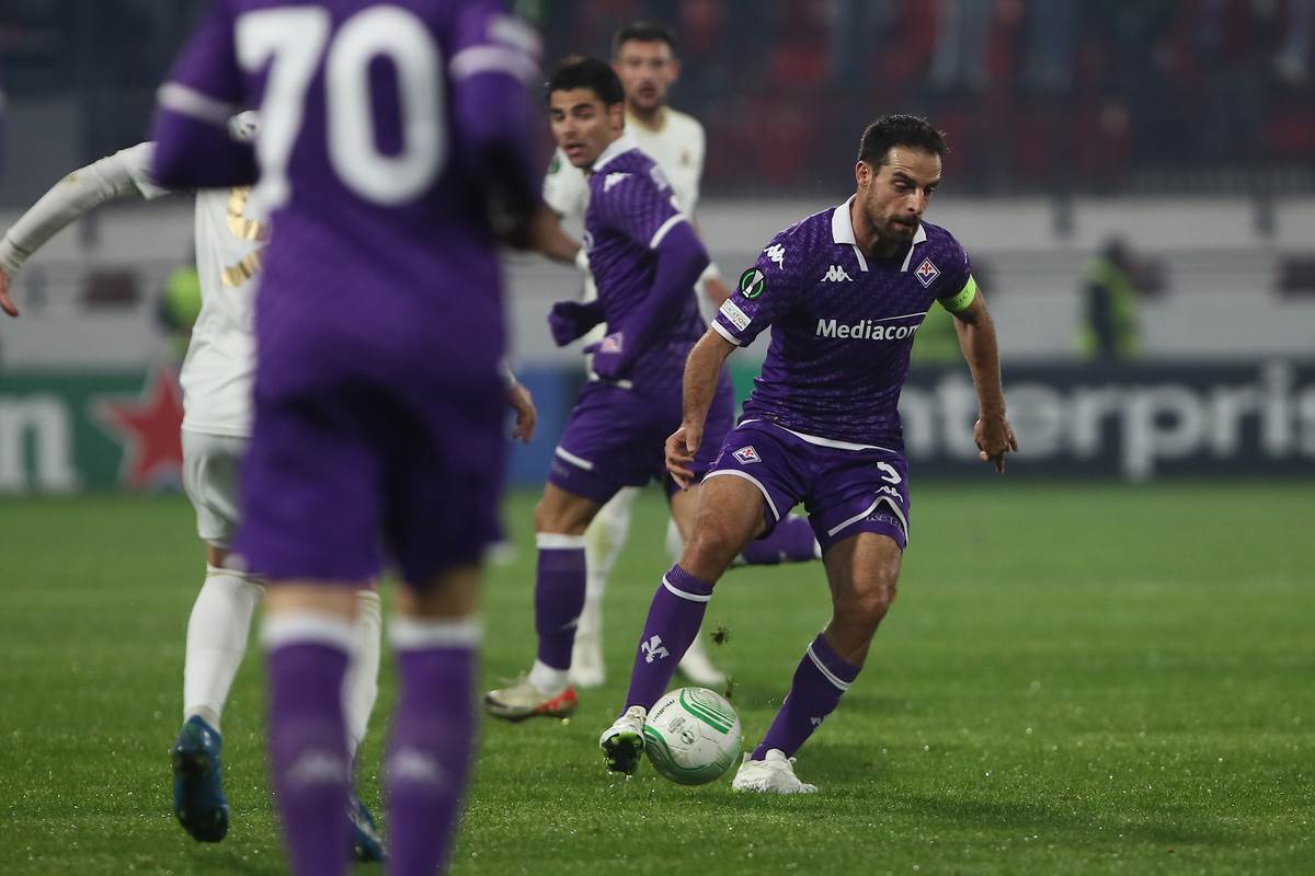 čukarički  fiorentina (1).jpg