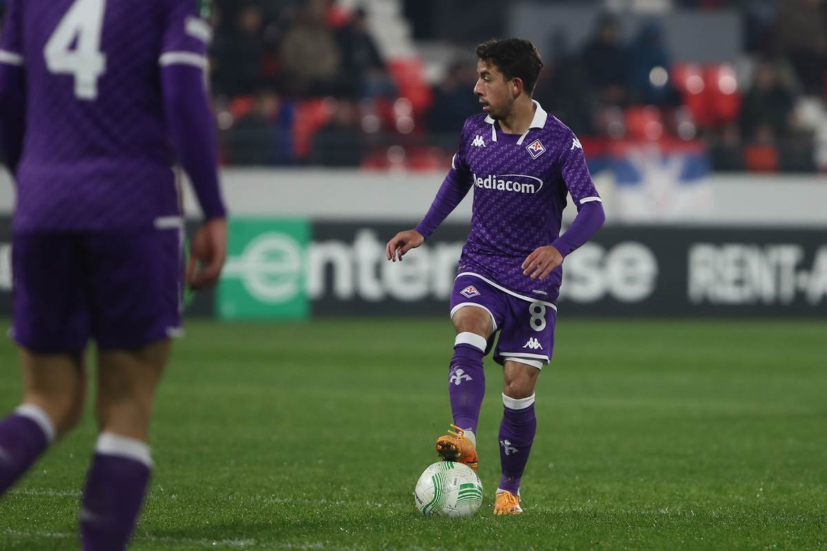 čukarički  fiorentina (2).jpg