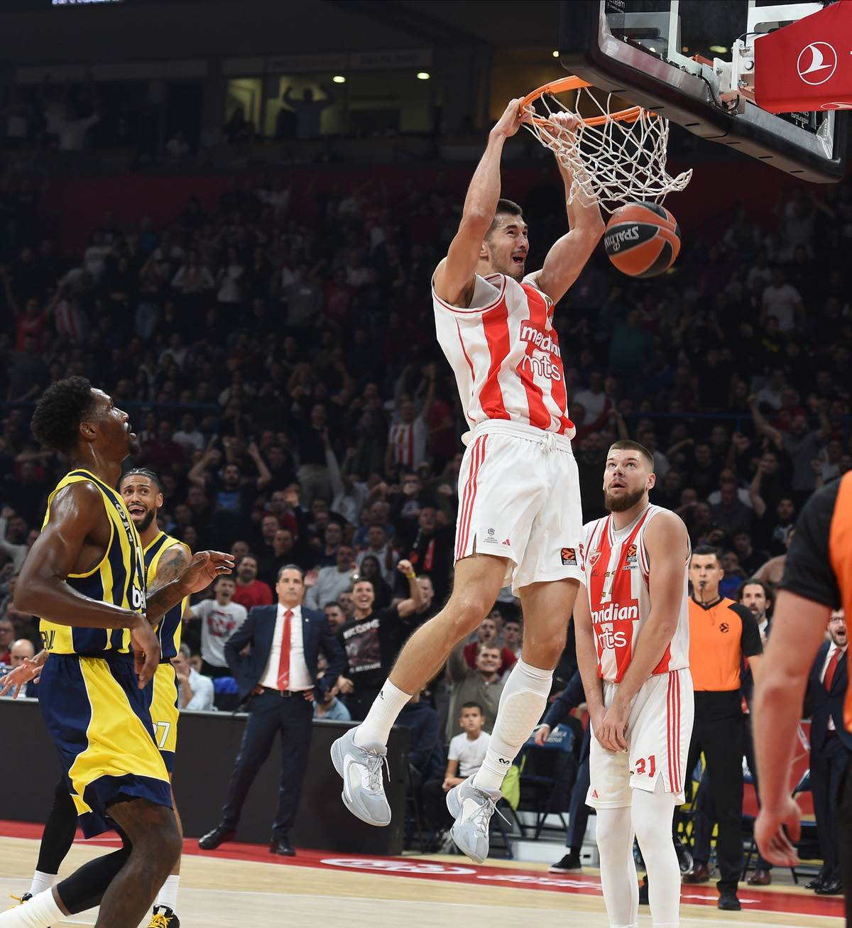 CRVENA ZVEZDA - FENERBAHČE (4).jpg