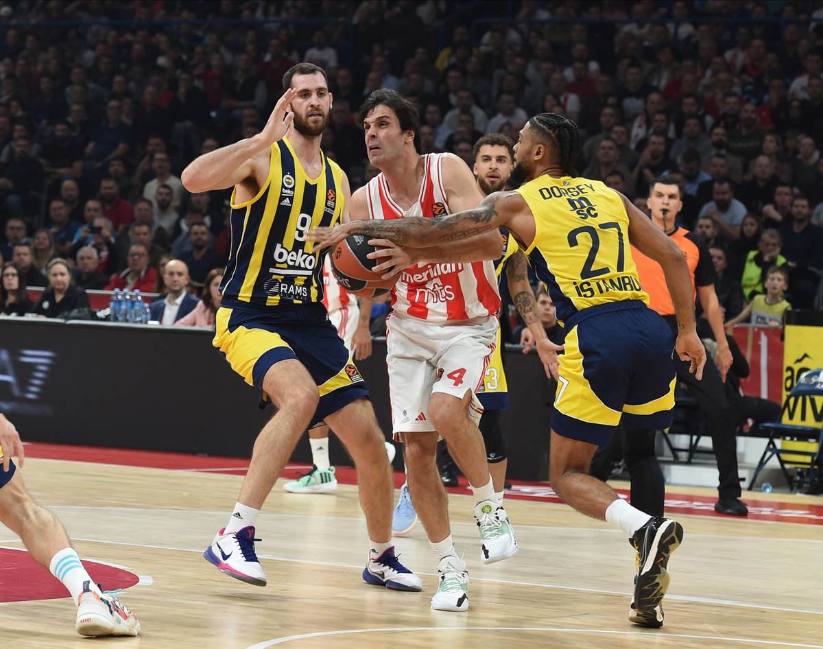 CRVENA ZVEZDA - FENERBAHČE (14) copy.jpg