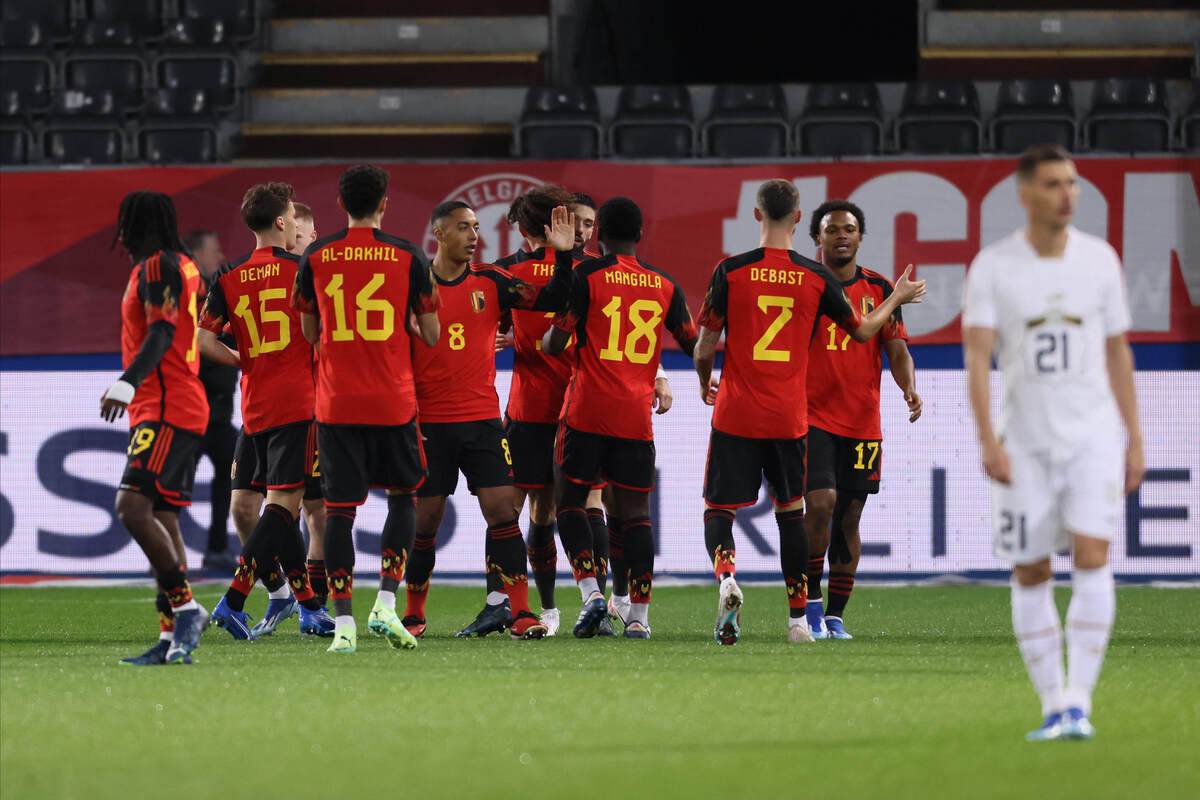 Srbija Belgija (15) copy.jpg