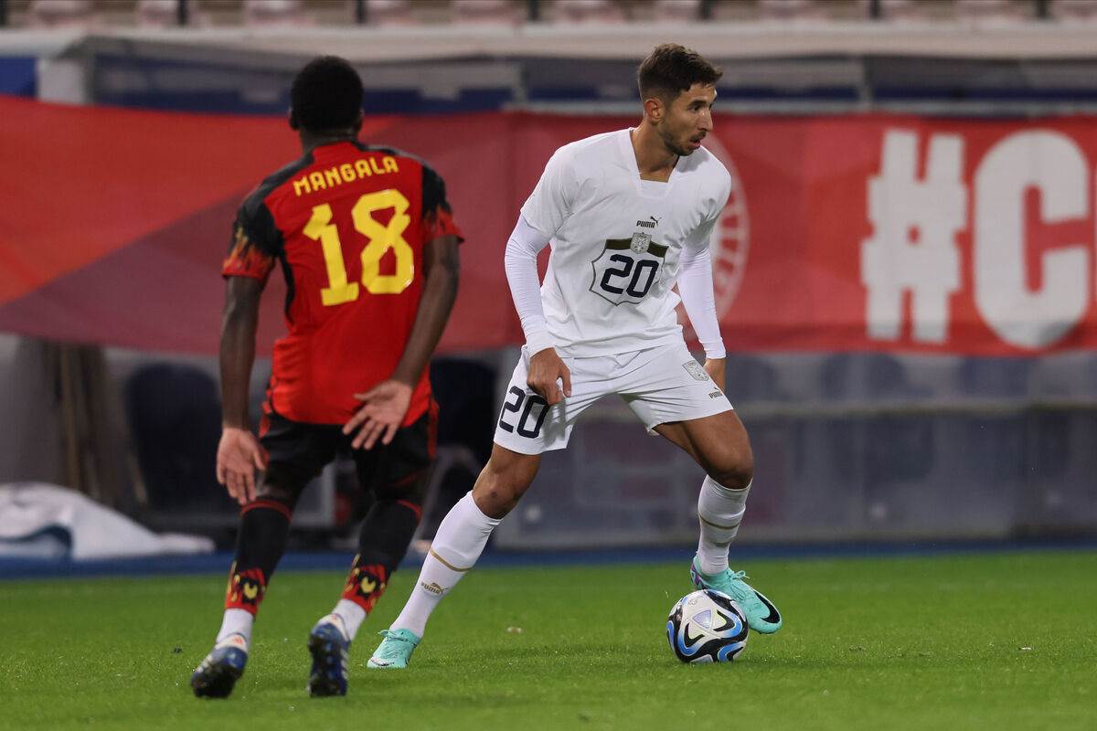 Srbija Belgija (9) copy.jpg