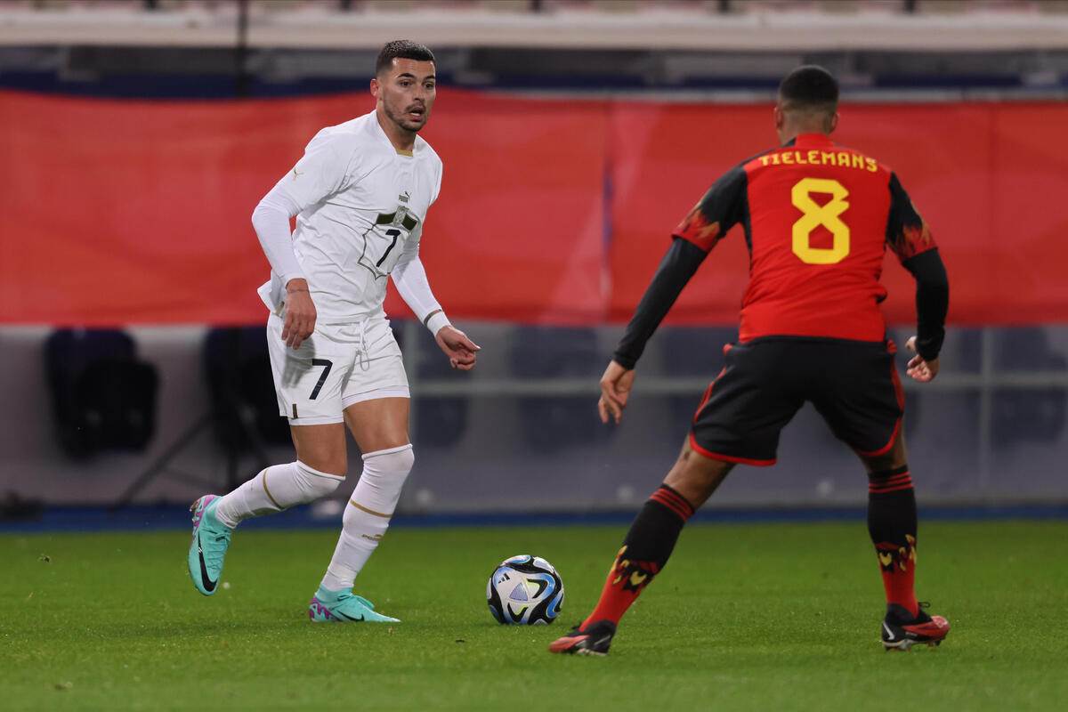 Srbija Belgija (7) copy.jpg