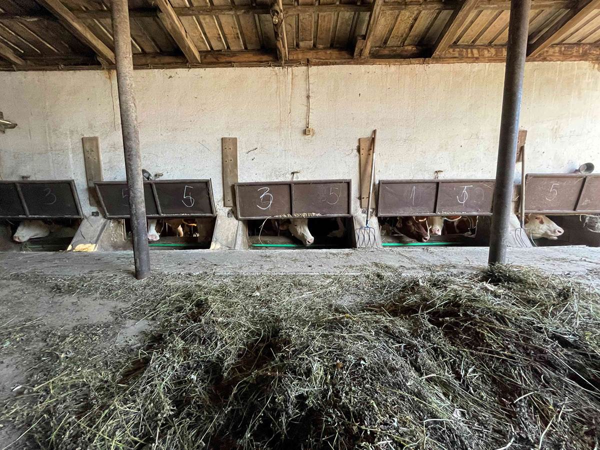 1700128280_marinkovici-donja-vrbava-foto-kabinet-predsednika-opstine-4 copy.jpg