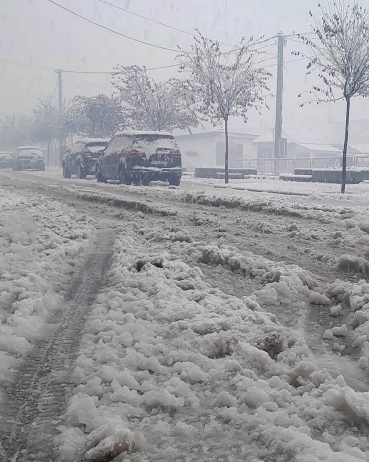 U CRNOJ GORI Poplavljene kuće i mostovi (3).jpg
