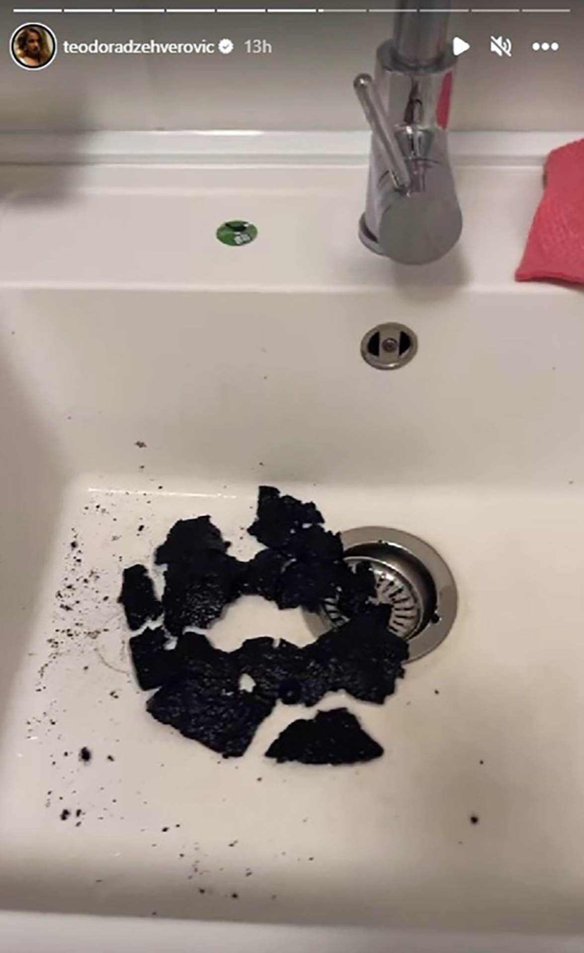 Teodora Dzehverovic stori (4).png