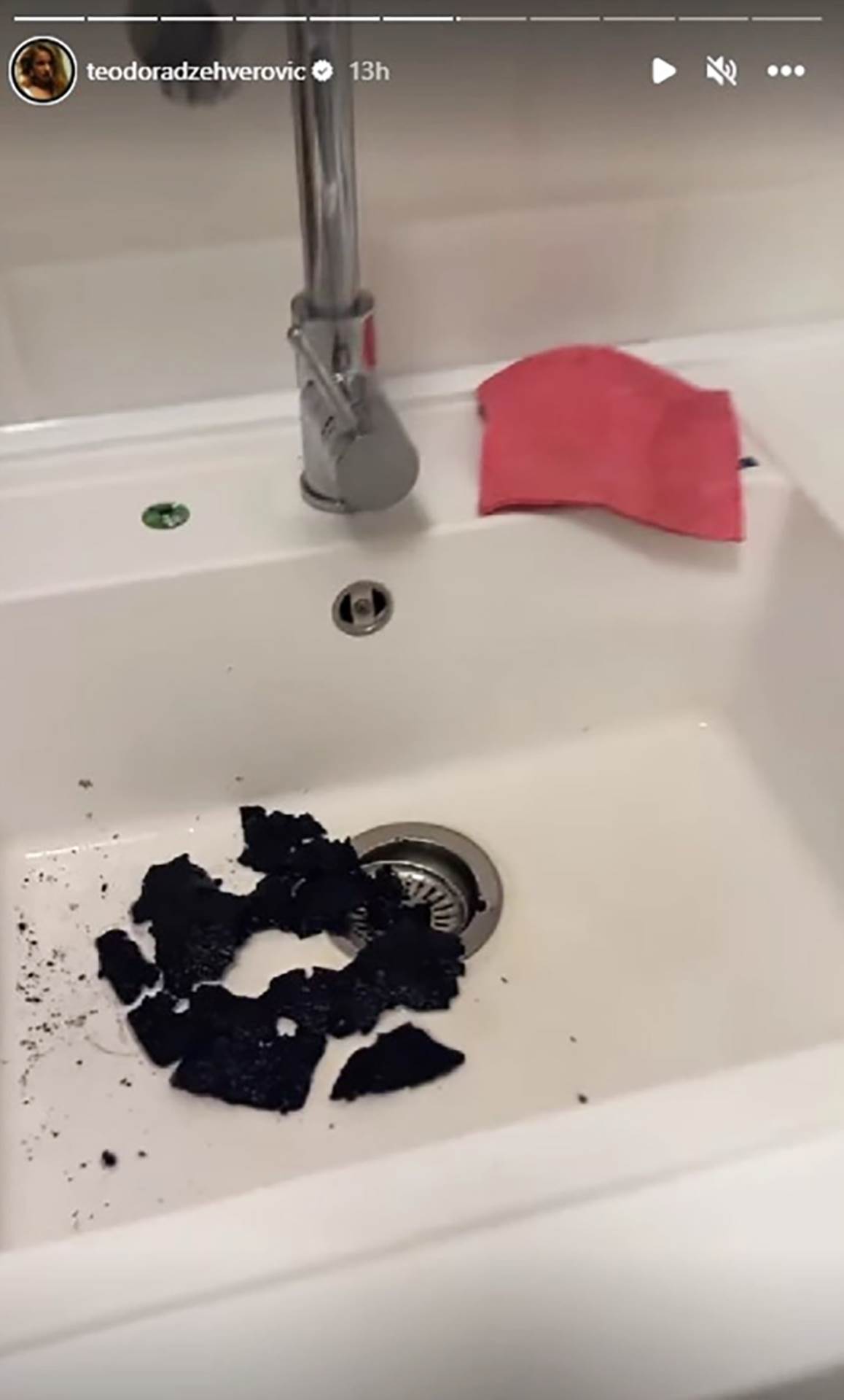 Teodora Dzehverovic stori (1).png