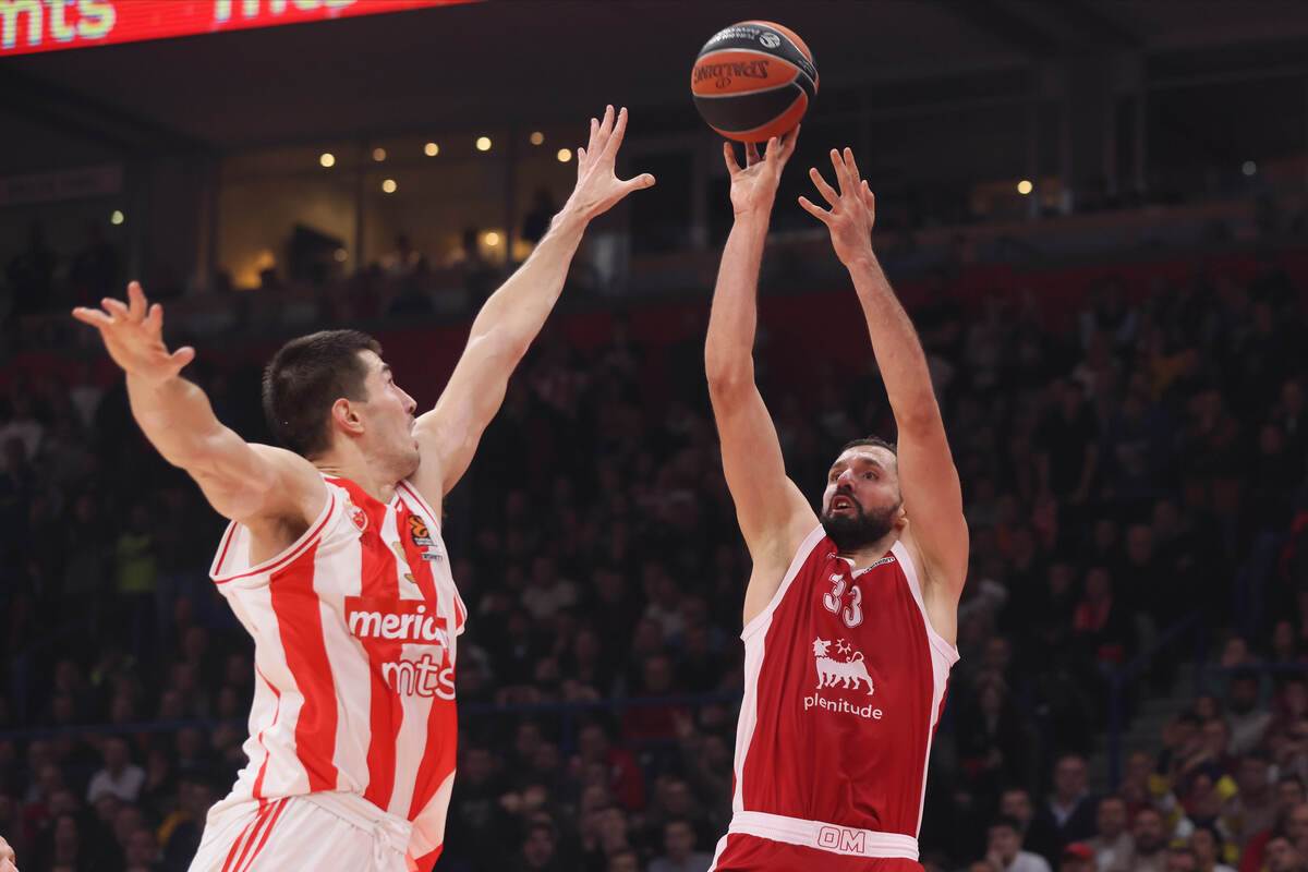 CRVENA ZVEZDA - OLIMPIJA MILANO (8).jpg