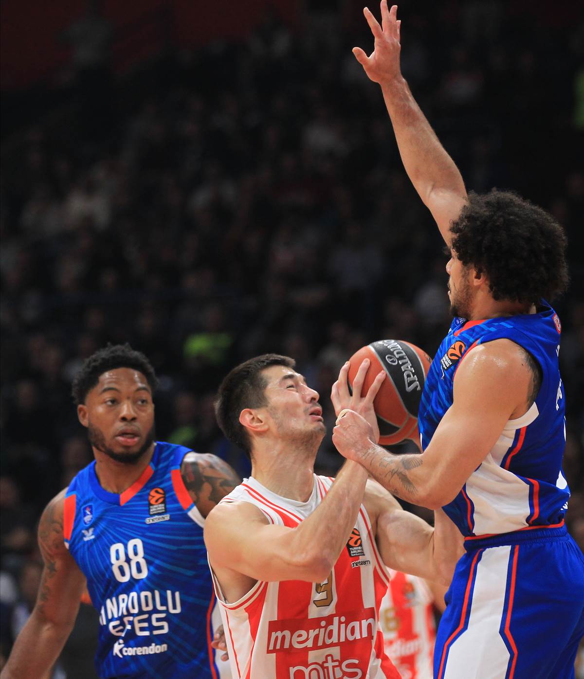 Crvena Zvezda Efes meč (8).JPG