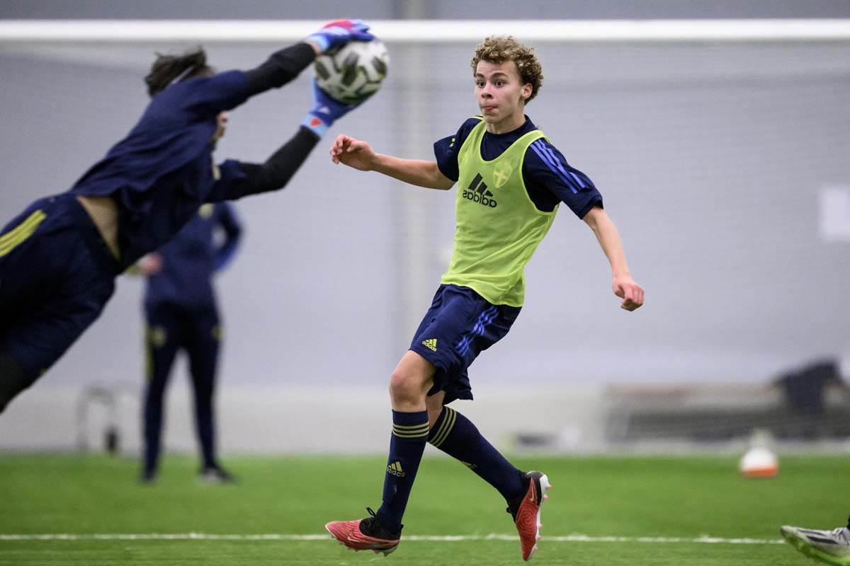 Vinsent Ibrahimović 3.jpg