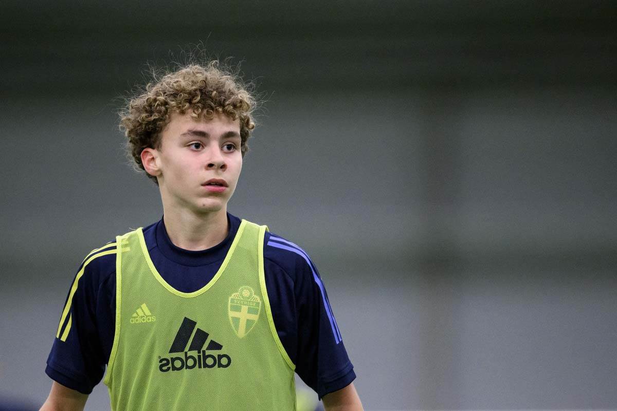 Vinsent Ibrahimović 4.jpg