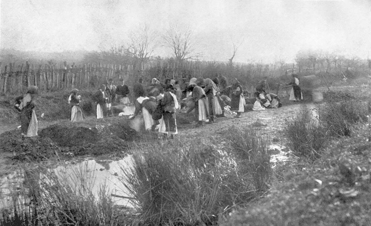 Zločini u Mačvi (5).jpg