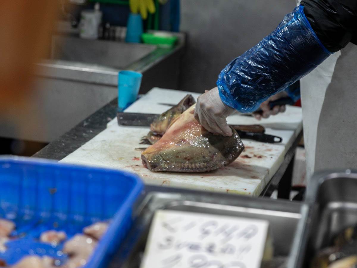 riblji_čvarci_stefan_stojanović_ (3).jpg