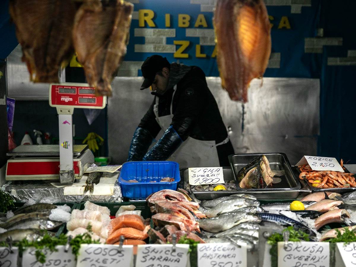 riblji_čvarci_stefan_stojanović_ (2).jpg