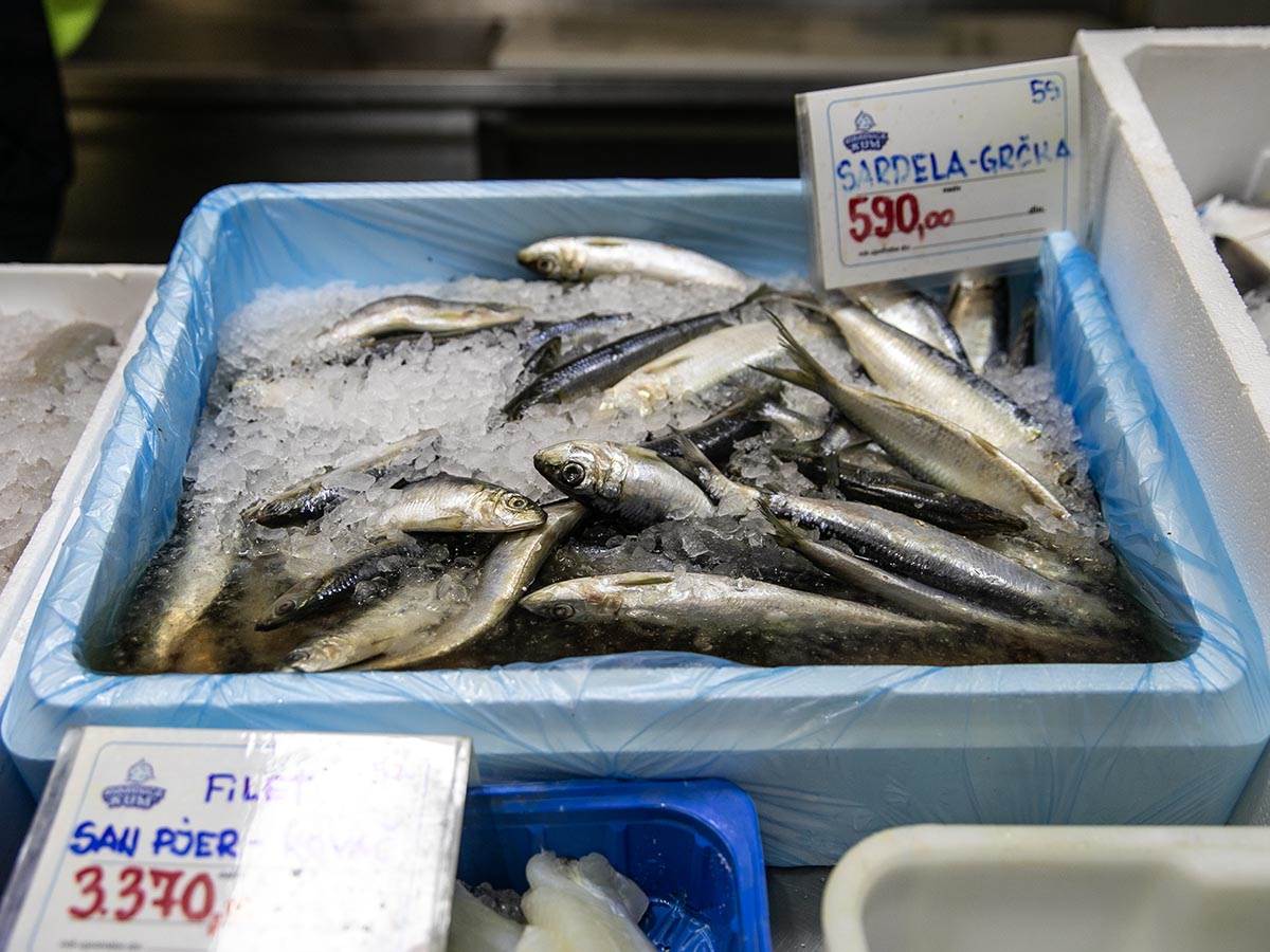 cena_ribe_pijaca_stefan_stojanović_ (11).jpg