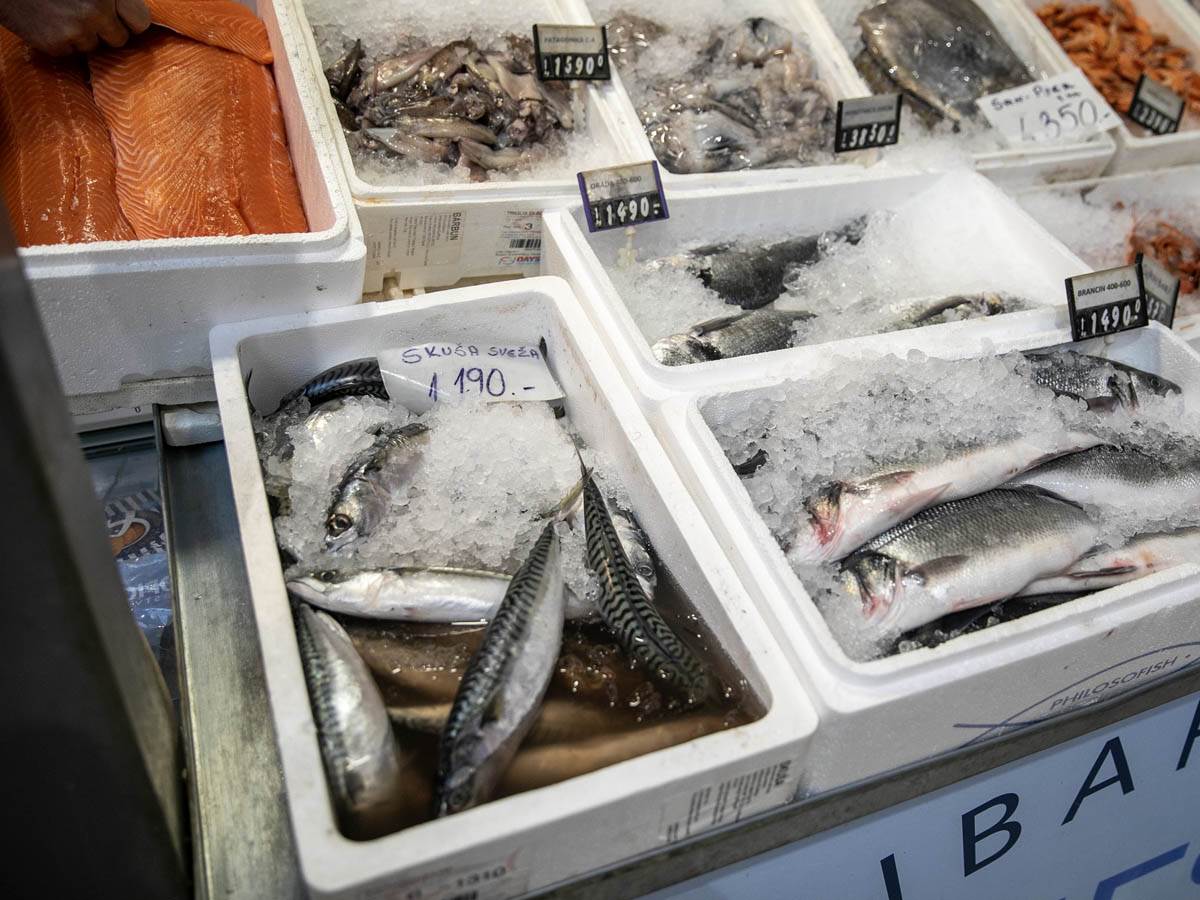 cena_ribe_pijaca_stefan_stojanović_ (10).jpg