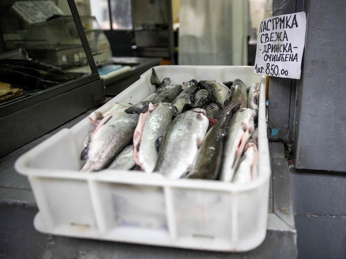 cena_ribe_pijaca_stefan_stojanović_ (6).jpg
