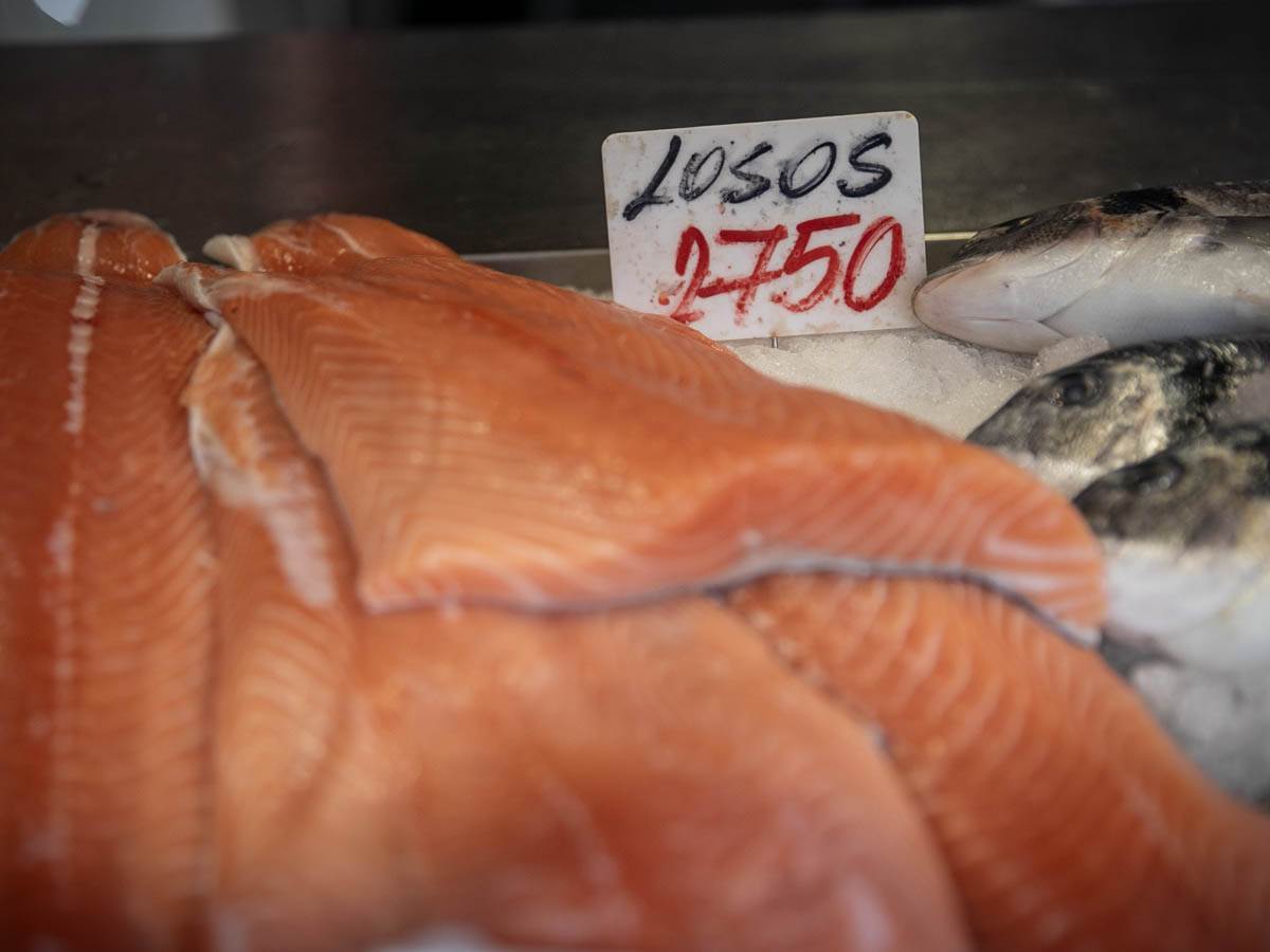 cena_ribe_pijaca_stefan_stojanović_ (20).jpg