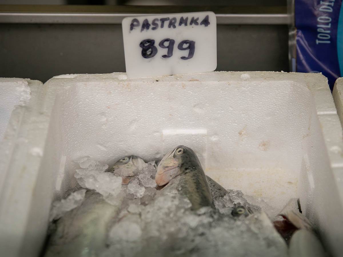 cena_ribe_pijaca_stefan_stojanović_ (14).jpg