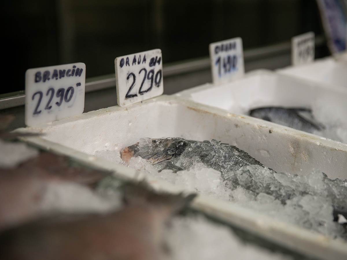 cena_ribe_pijaca_stefan_stojanović_ (13).jpg