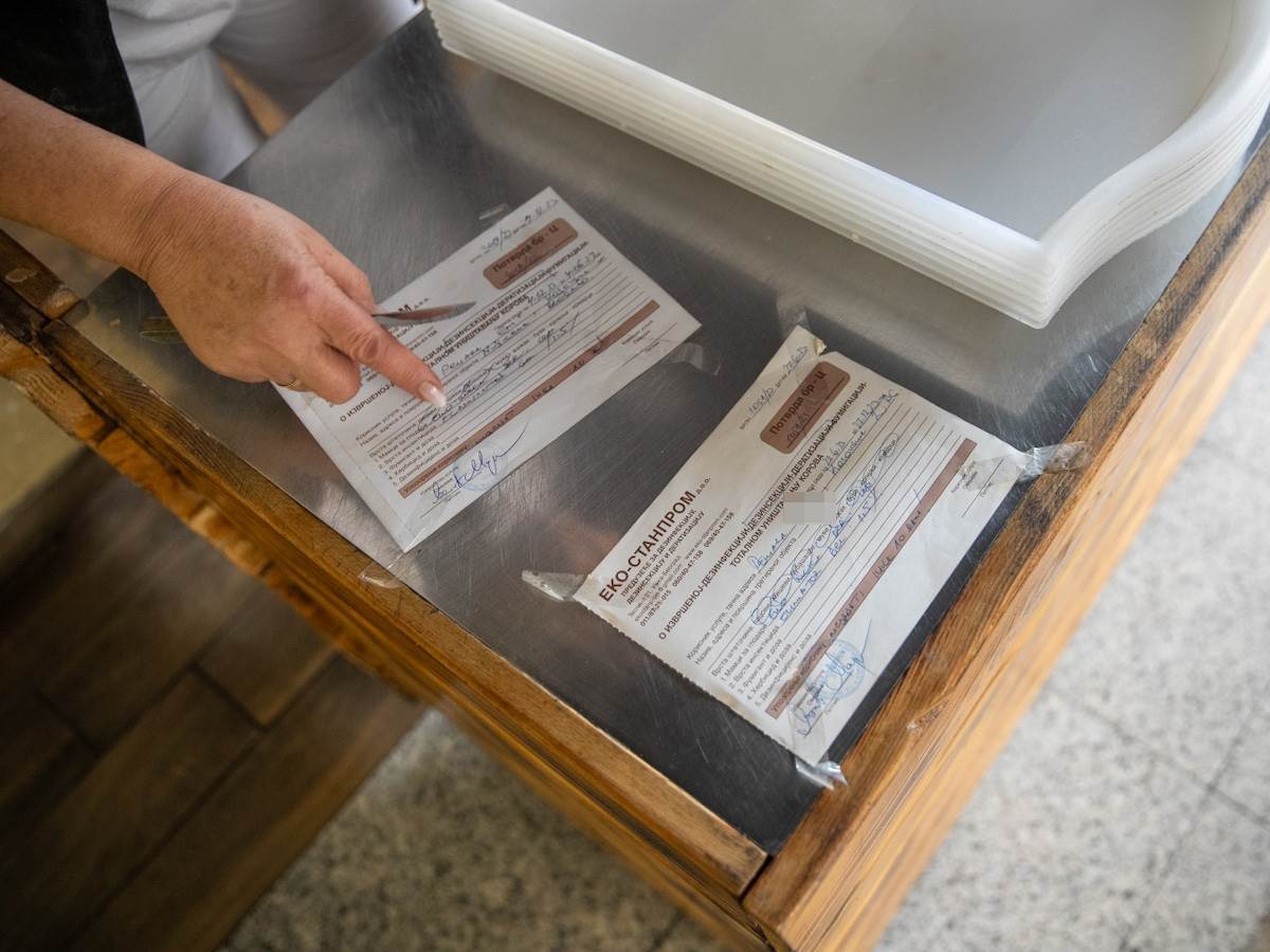 Pacovi u pekari (7).jpg