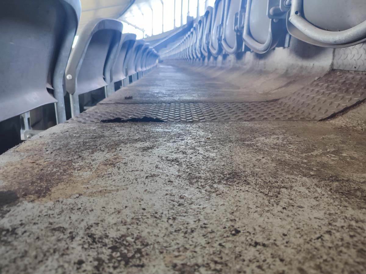 Olimpijski stadion Berlin 15.jpg