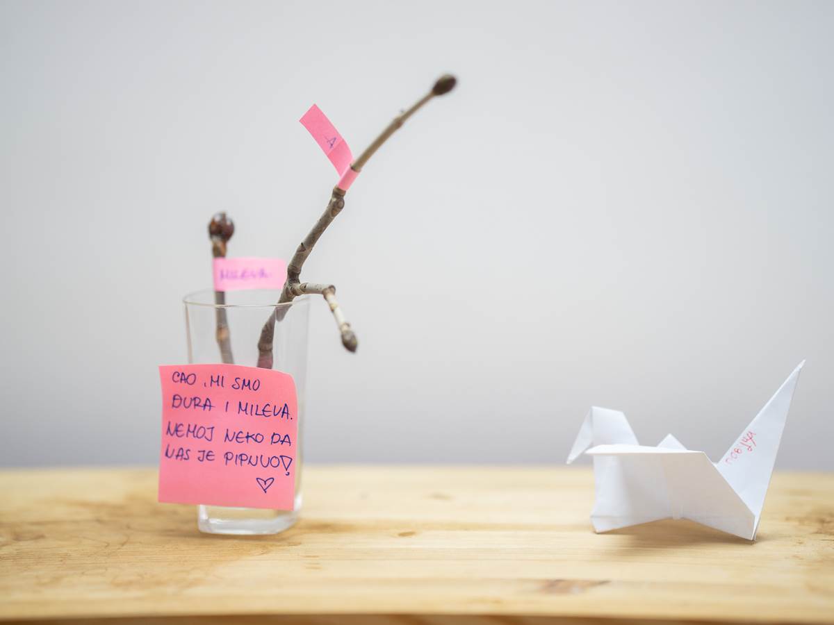 Formula Student tim (3 of 18).jpg