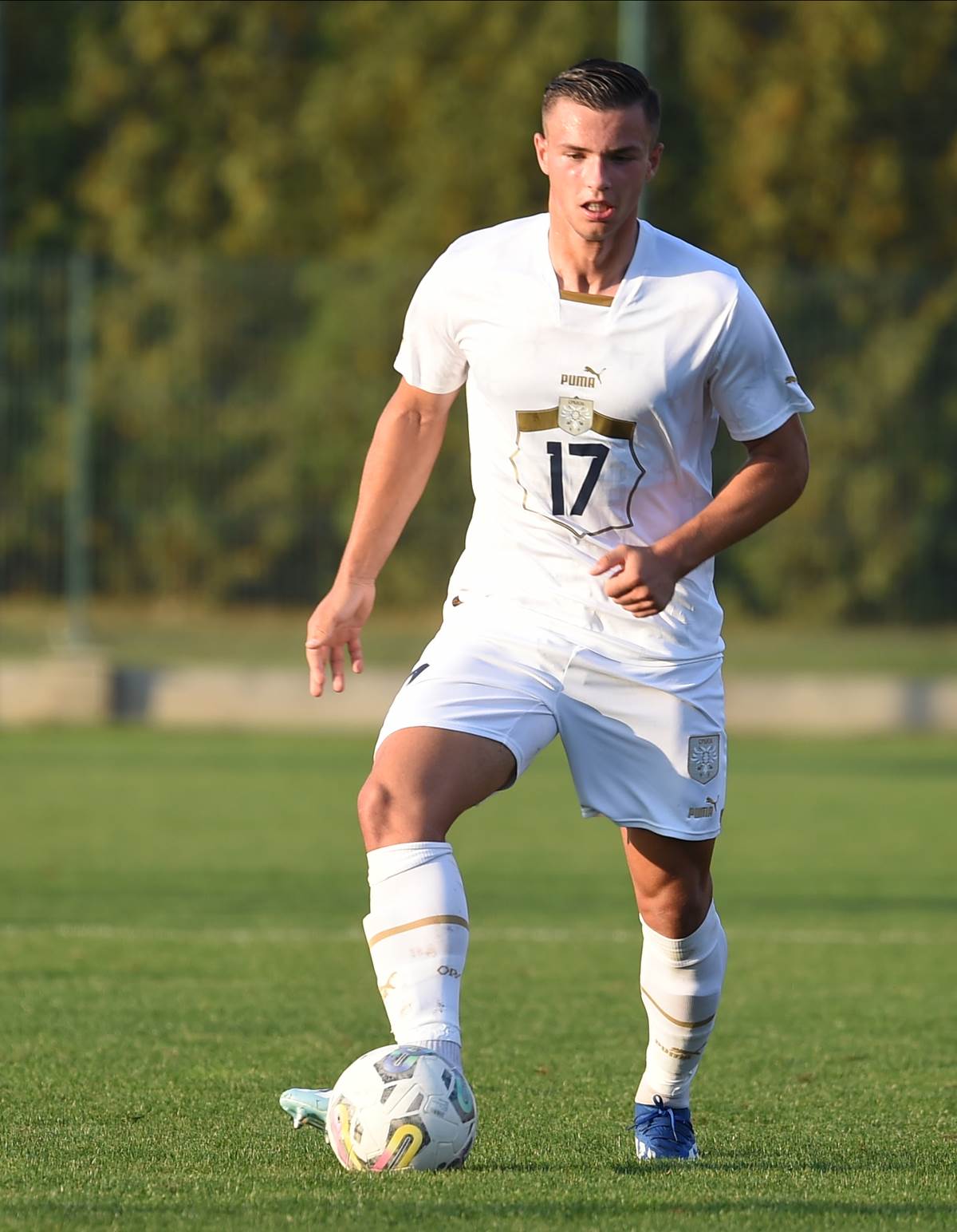 Jan Karlo Simic (1).jpg