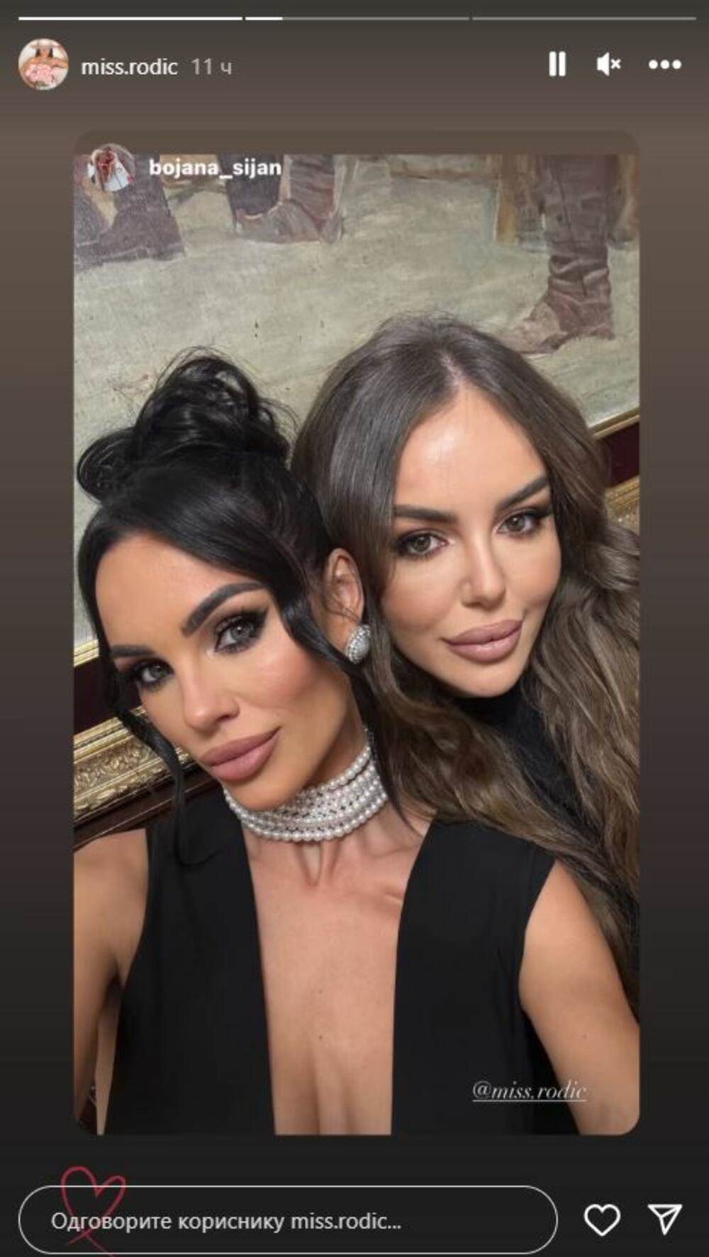 Slava kod Cece Ražnatović 3.jpg