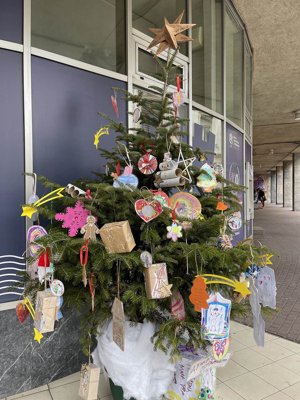 starogradska zima2.jpg